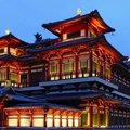toptop官网正版下载官方网站入口