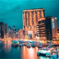 toptop官网下载入口